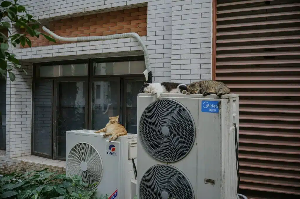 Cats relax on top of air conditioning units following installation after a successful planning application with noise impact assessment.